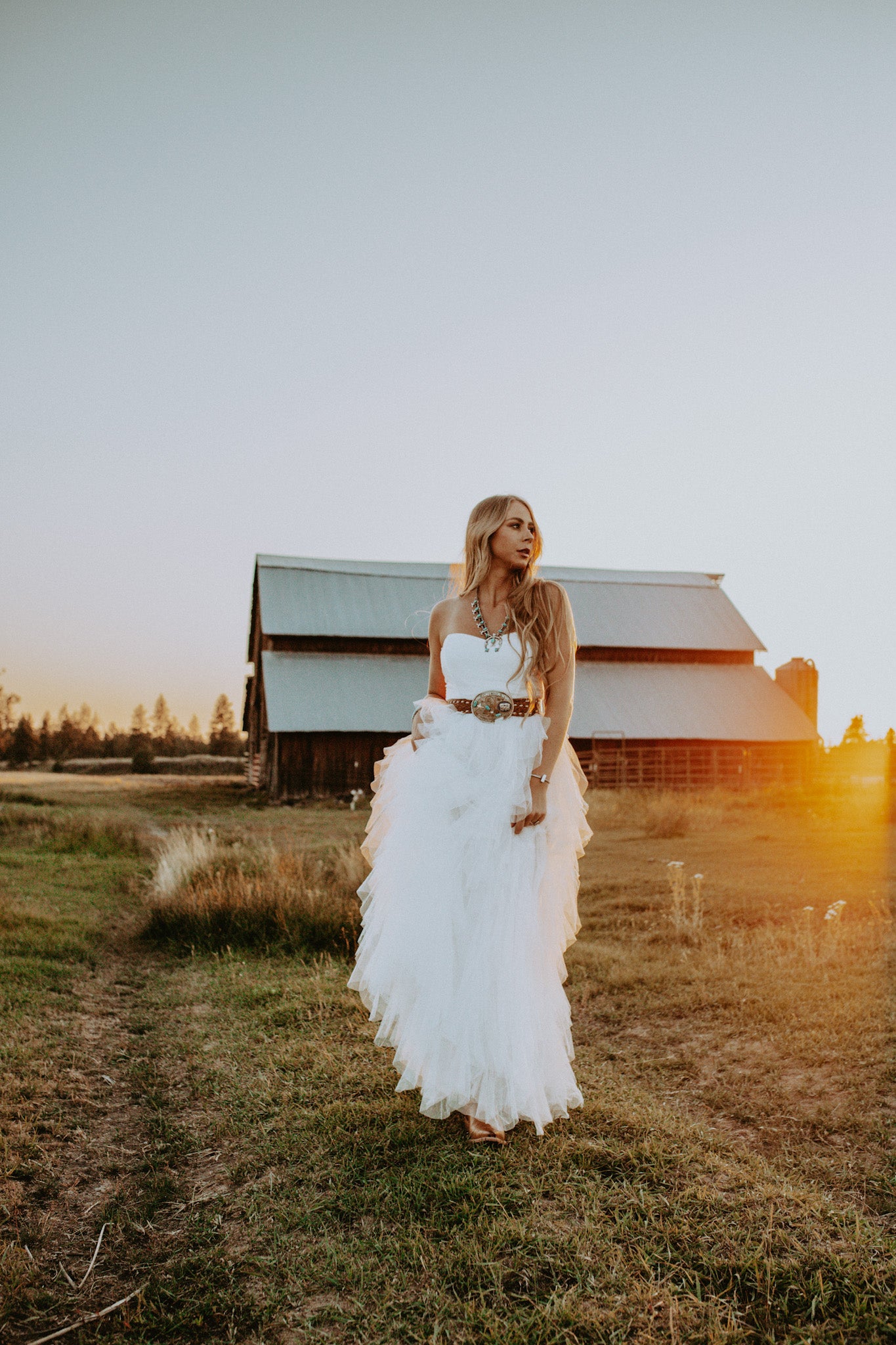 The Cowgirl Dreamer Dress