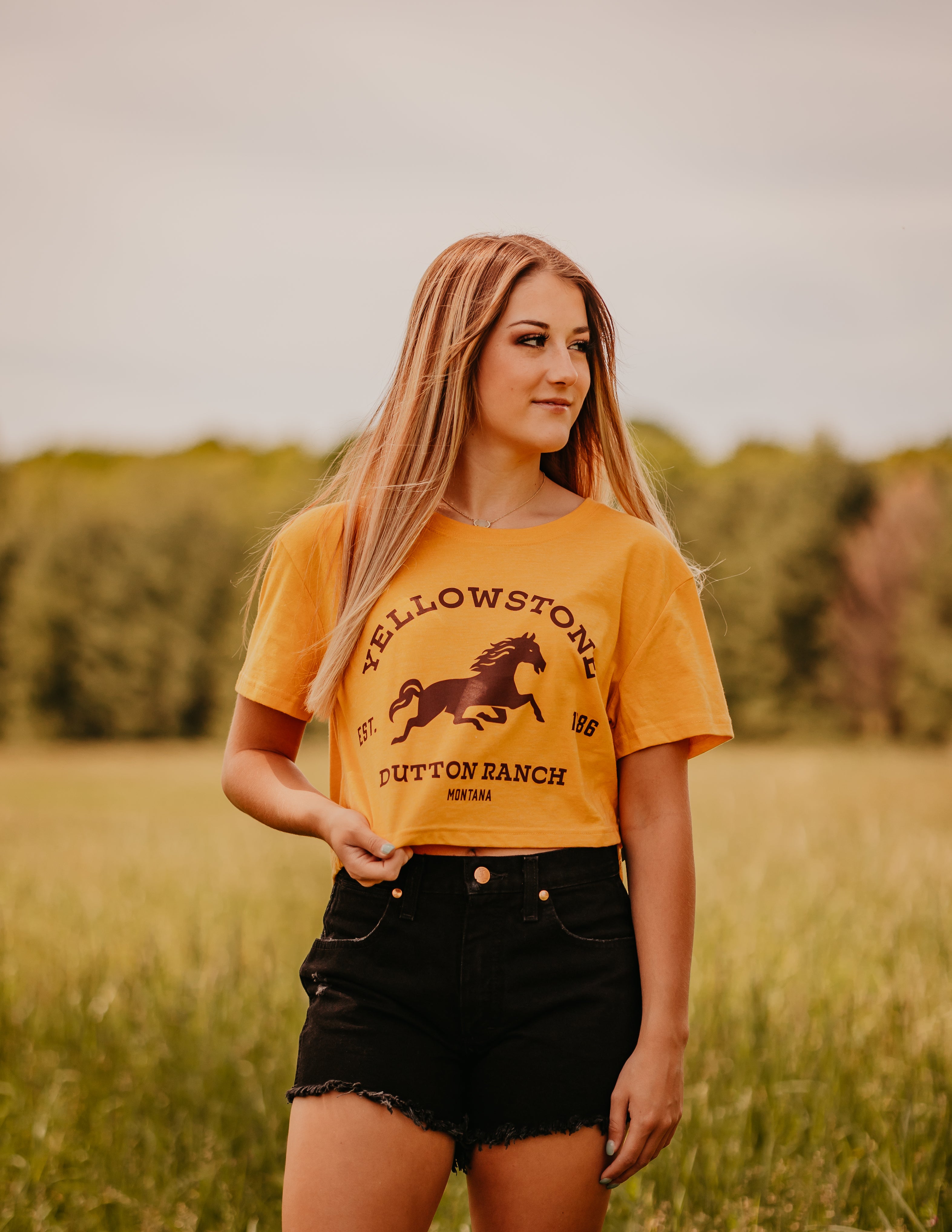Dutton Ranch Cropped Tee