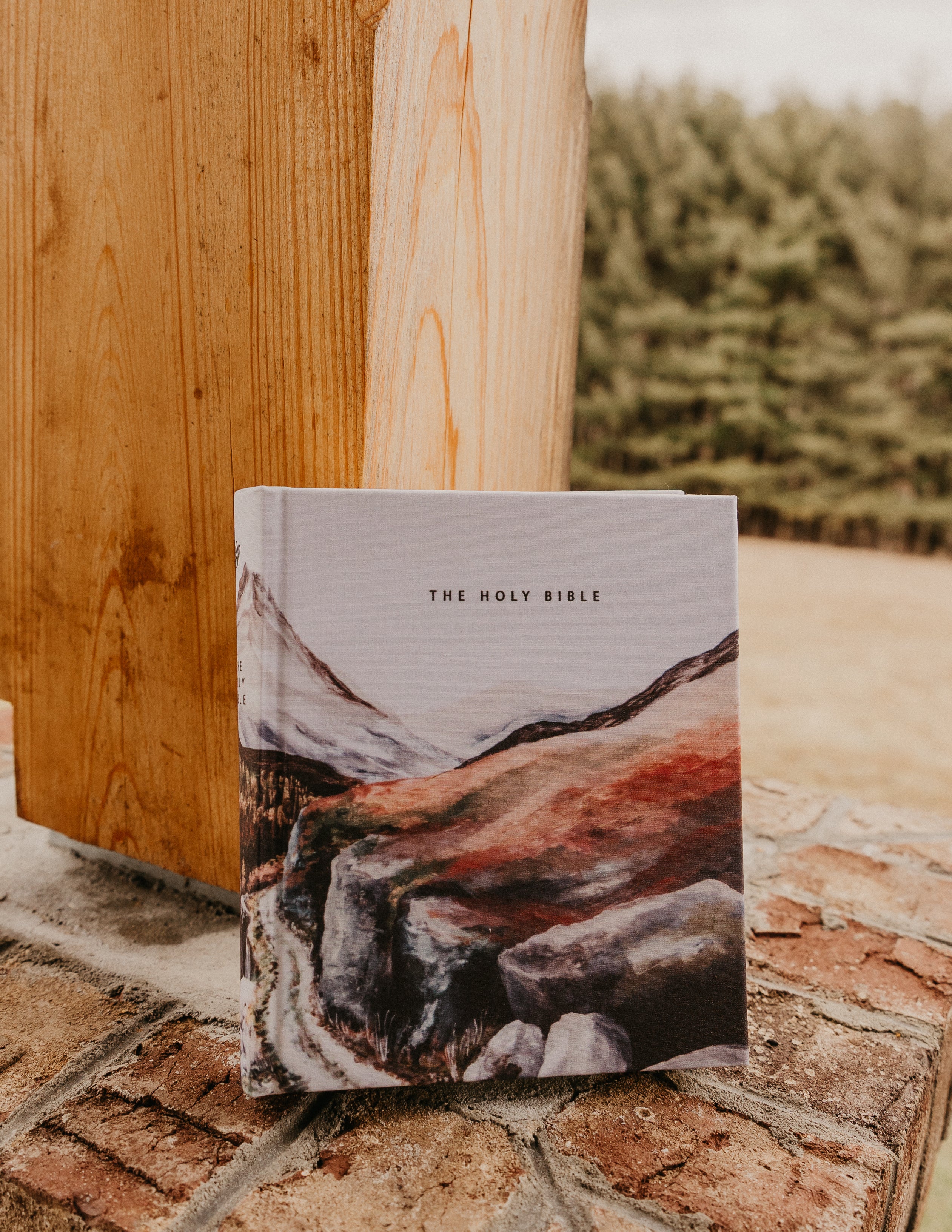 ESV Journaling Bible • Zermattt Theme