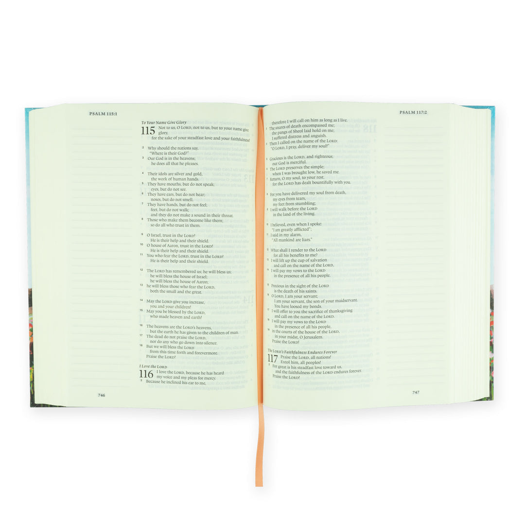 ESV Journaling Bible • Albion Theme