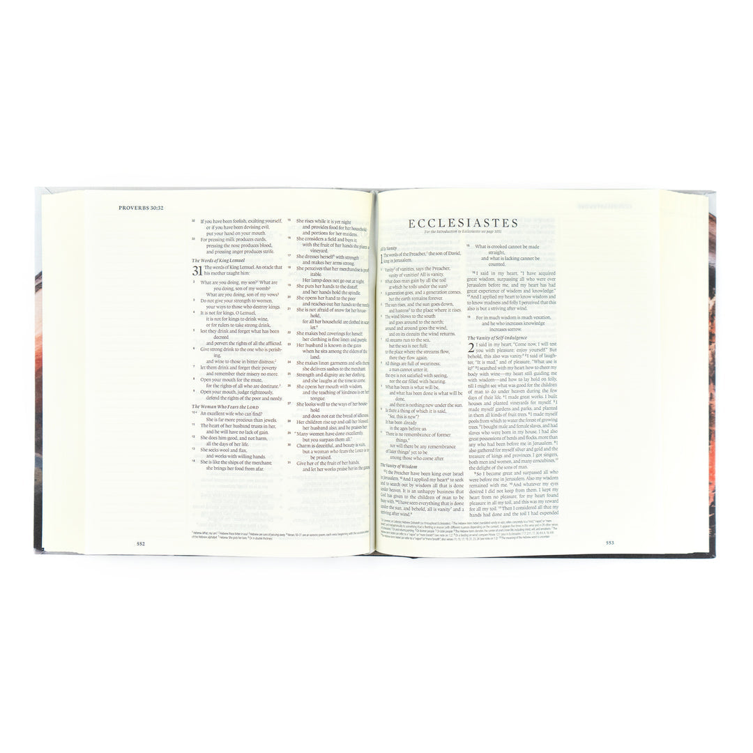 ESV Journaling Bible • Zermattt Theme