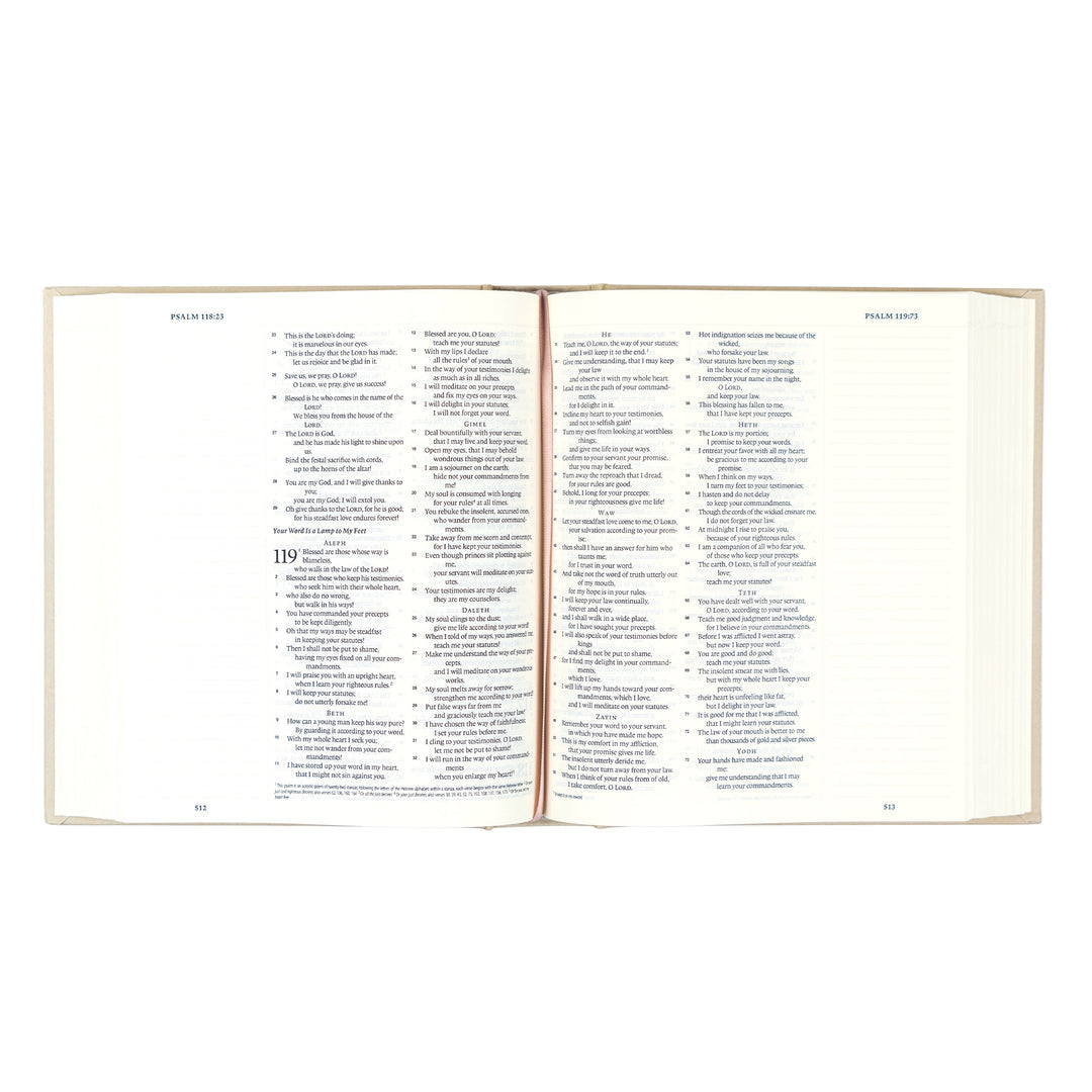 ESV Journaling Bible • Salamanca Theme