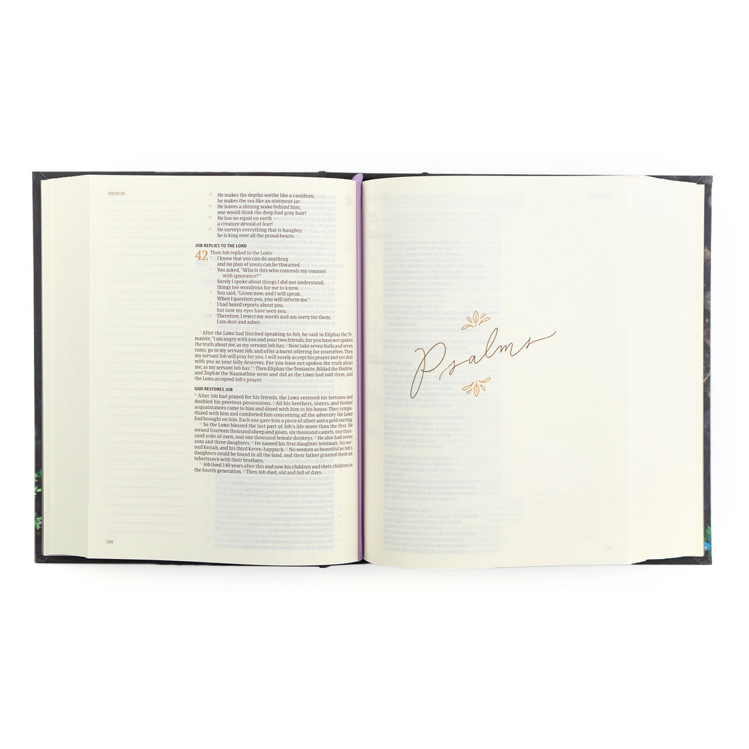 CSB Notetaking Bible • Bruges Theme
